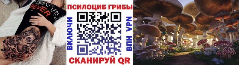 omg ТОР  дарнет шоп  Алапаевск  Галлюциногенные грибы мицелий 