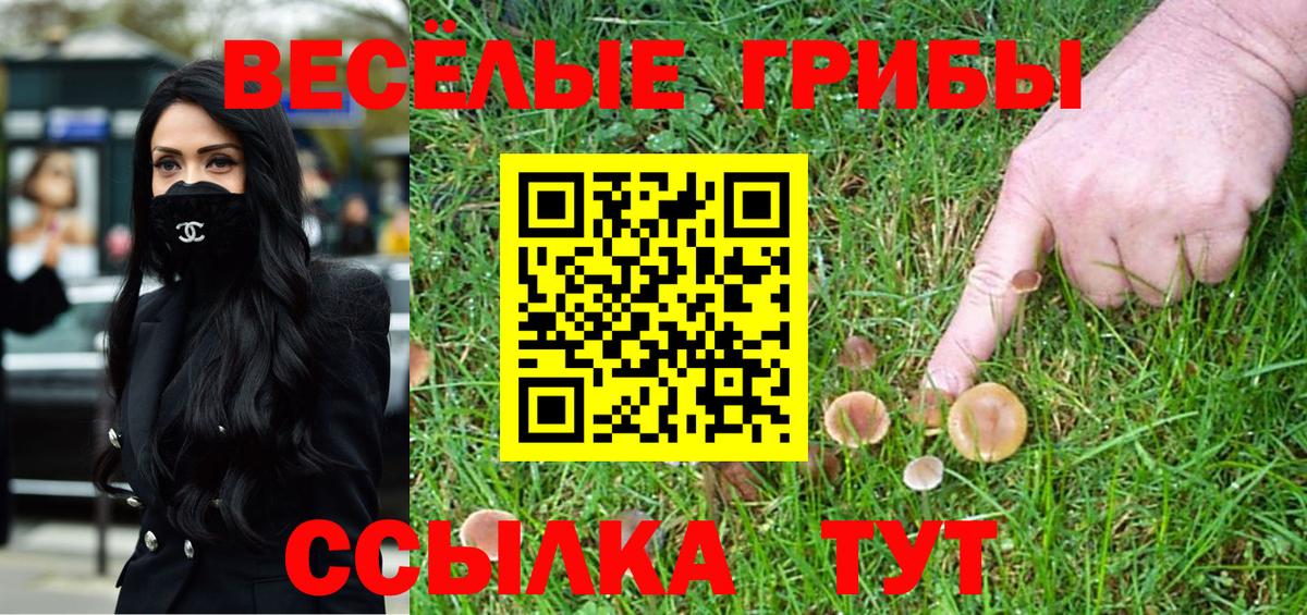 Галлюциногенные грибы Psilocybe  Вход с VPN  Алапаевск 