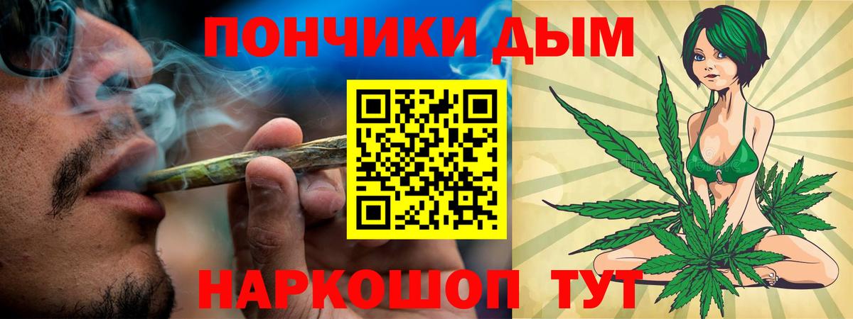 Бошки Шишки конопля Алапаевск